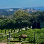 Tatil Evi A Santa Trinita