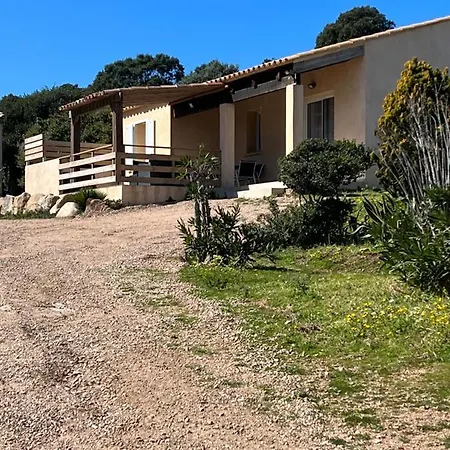 A Santa Trinita * بونيفَسْيو