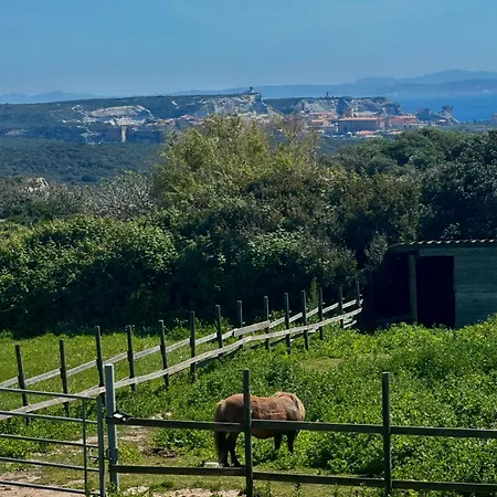 بيت للعطل A Santa Trinita